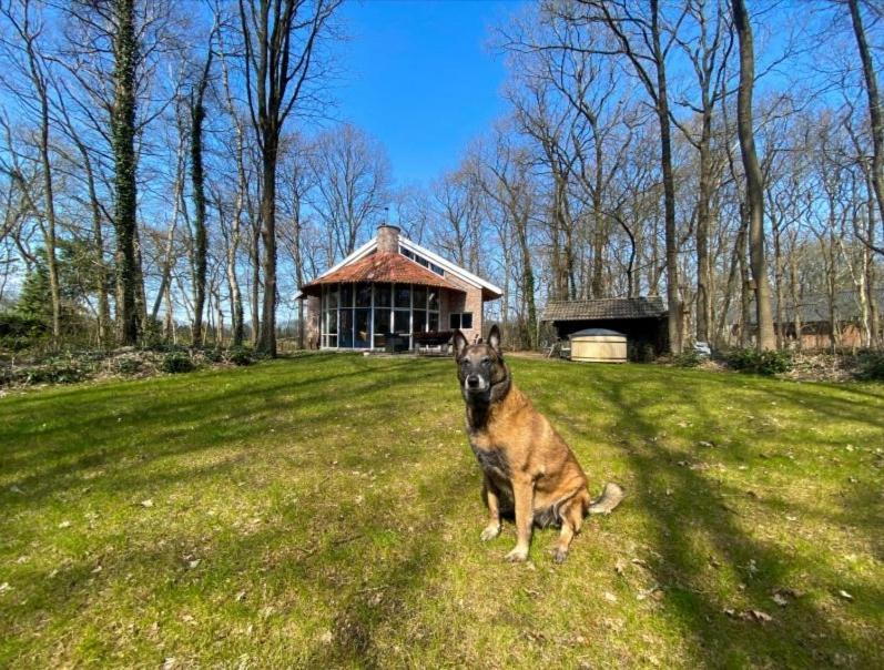 De Paddestoel Villa Wateren Dış mekan fotoğraf